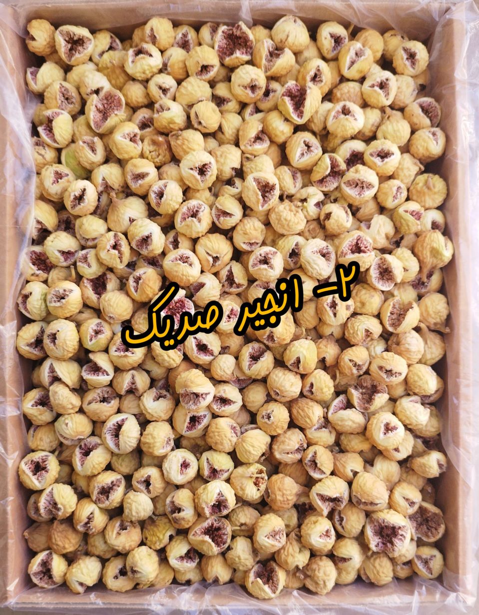  انجیر استهبان 